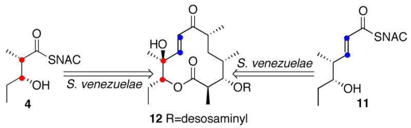 Scheme 2