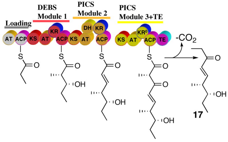 Scheme 5