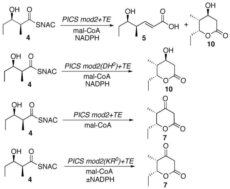 Scheme 3