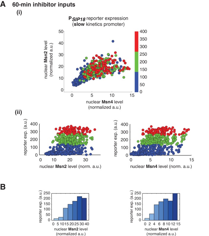 Figure 3—figure supplement 4.