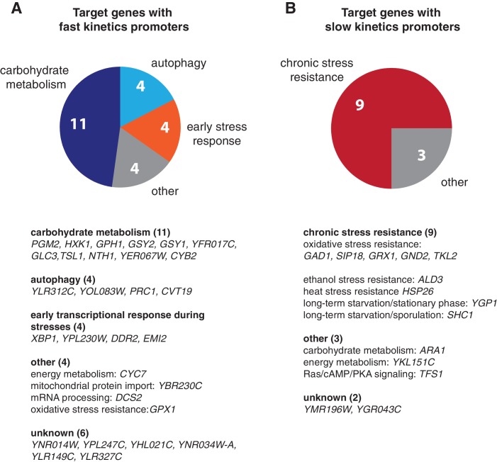 Figure 6—figure supplement 1.