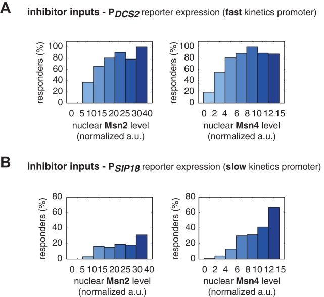 Figure 3—figure supplement 2.