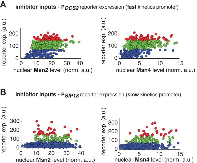 Figure 3—figure supplement 1.