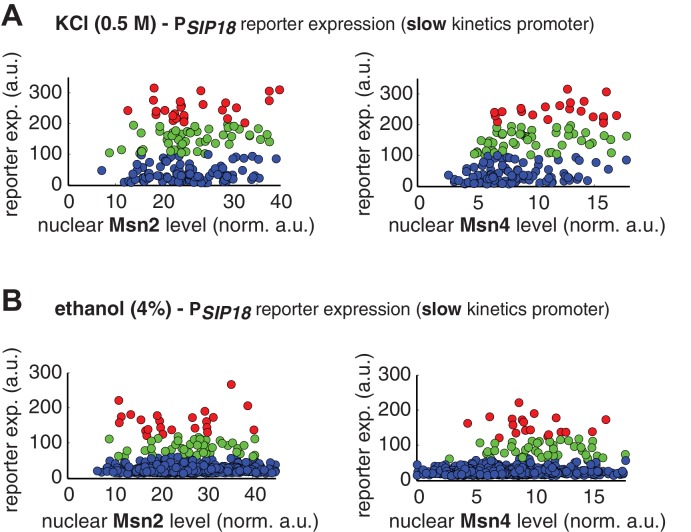 Figure 4—figure supplement 1.