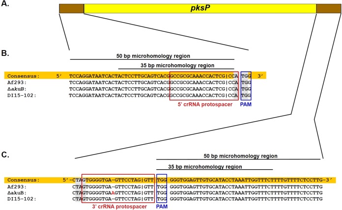 FIG 2 