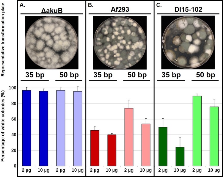 FIG 3 