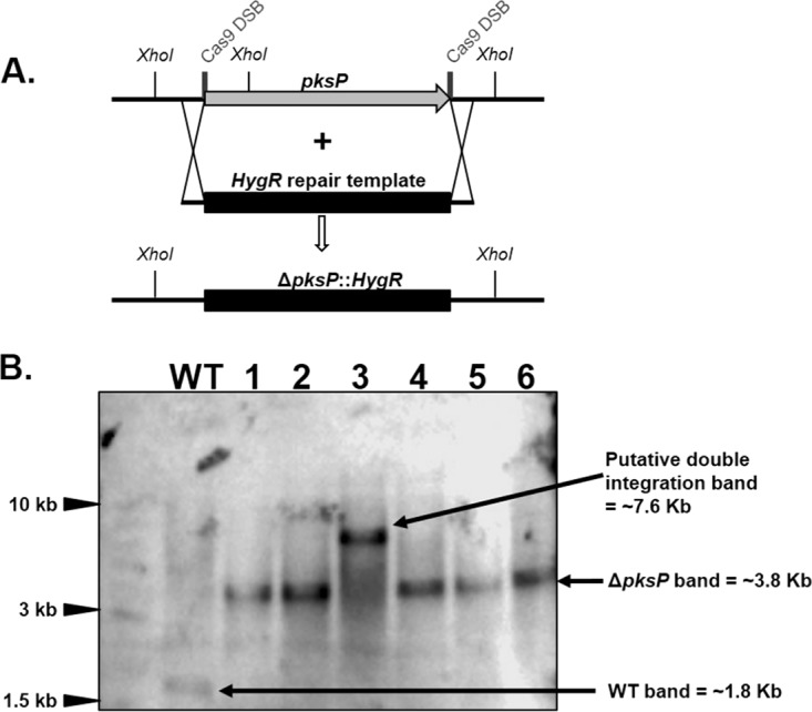 FIG 4 