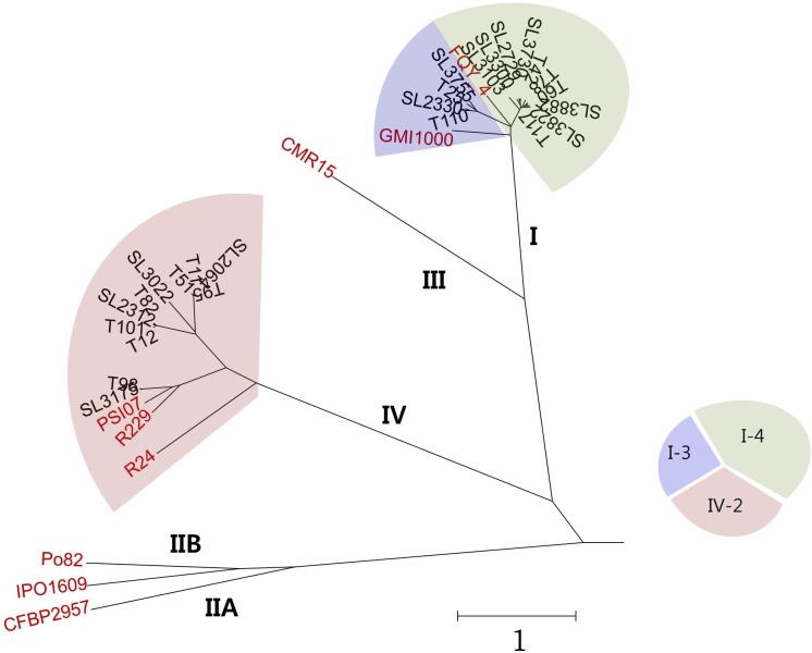 FIGURE 1