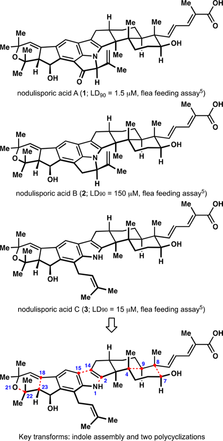 Figure 1.