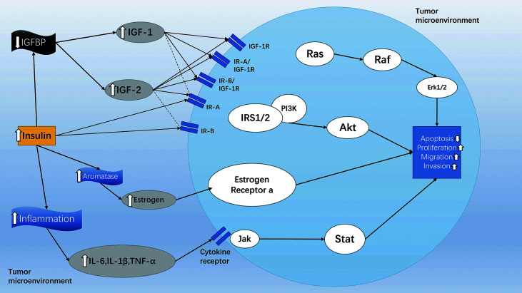 Figure 5