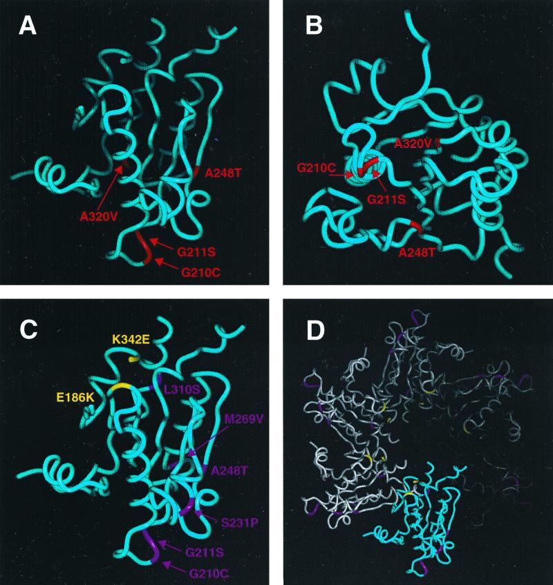 FIG. 4