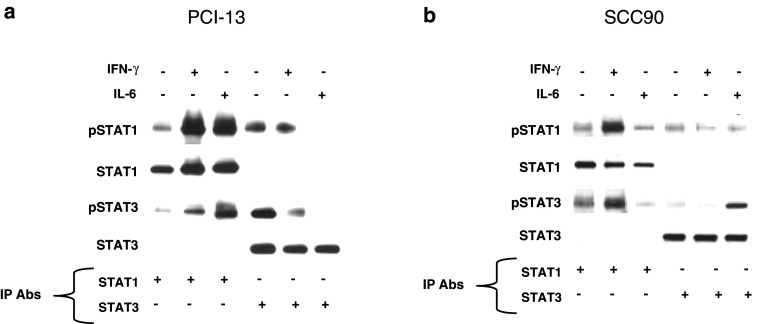 Fig. 5