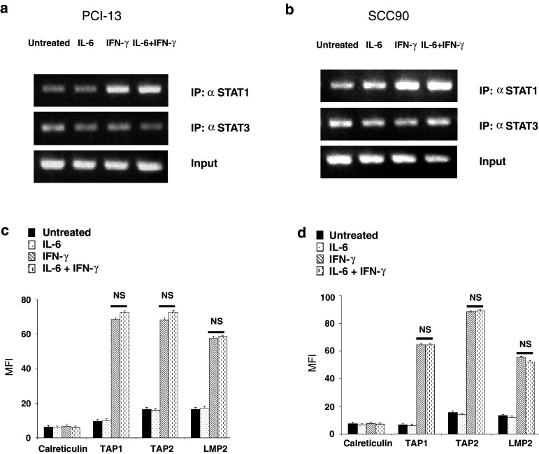 Fig. 6