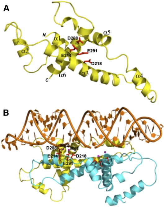 FIGURE 2.