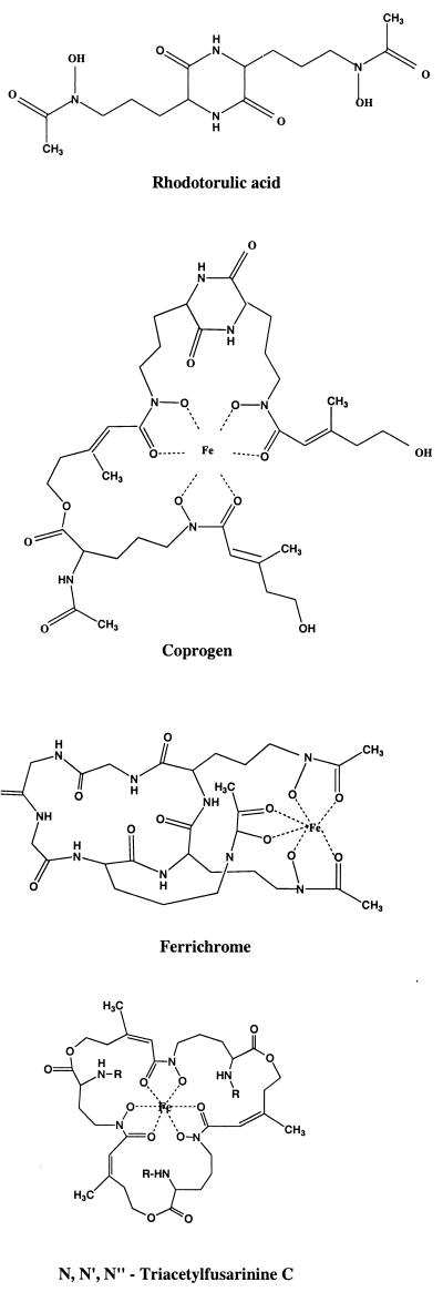 FIG. 1