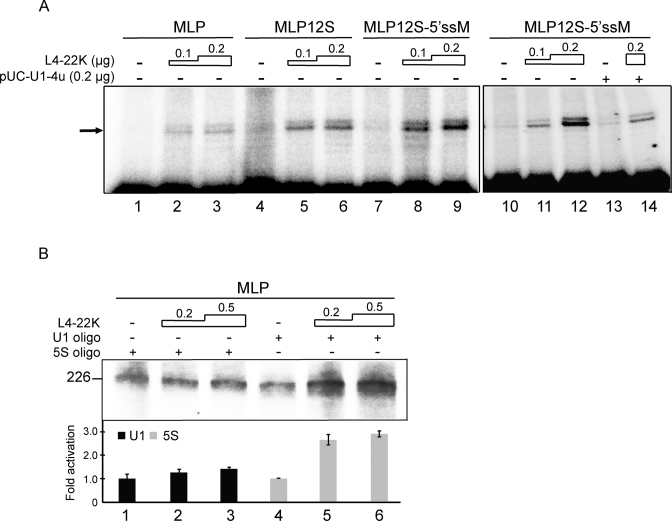 Figure 7.