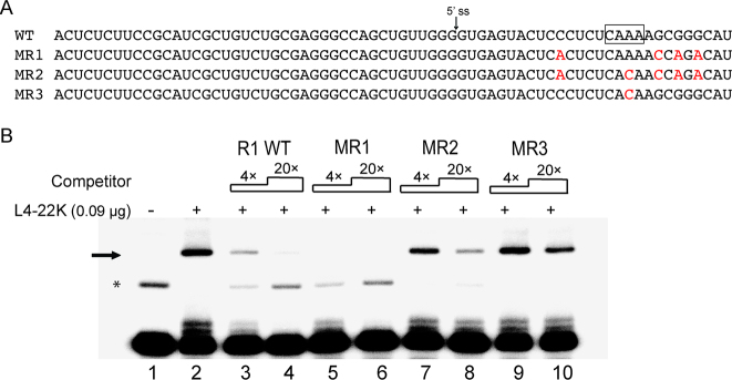 Figure 4.