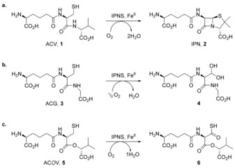 Scheme 1