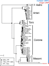 Fig 7