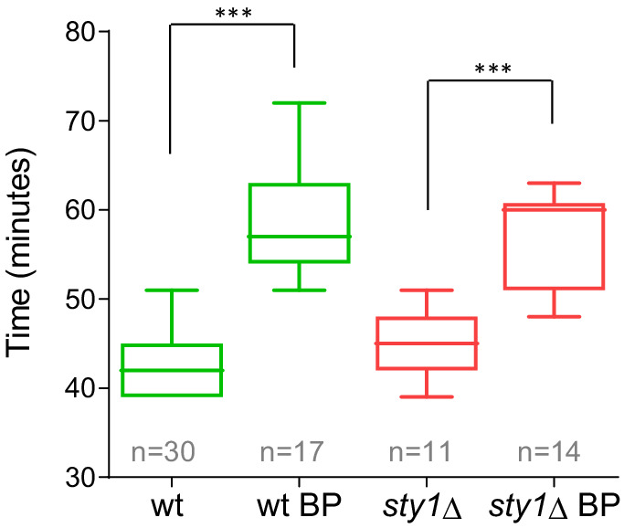 Figure 4—figure supplement 3.