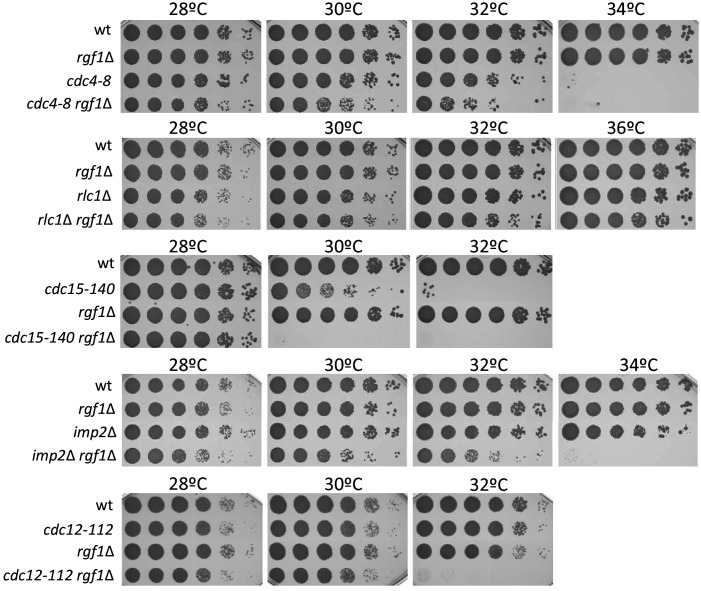 Figure 1—figure supplement 2.