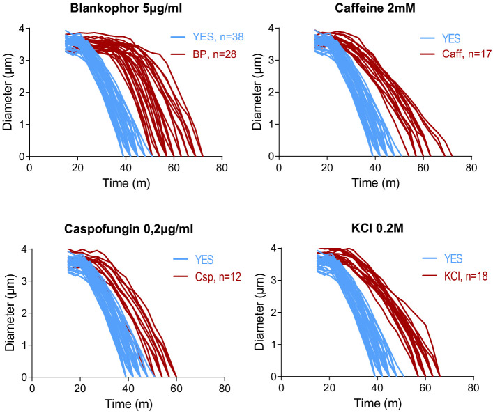 Figure 4—figure supplement 5.