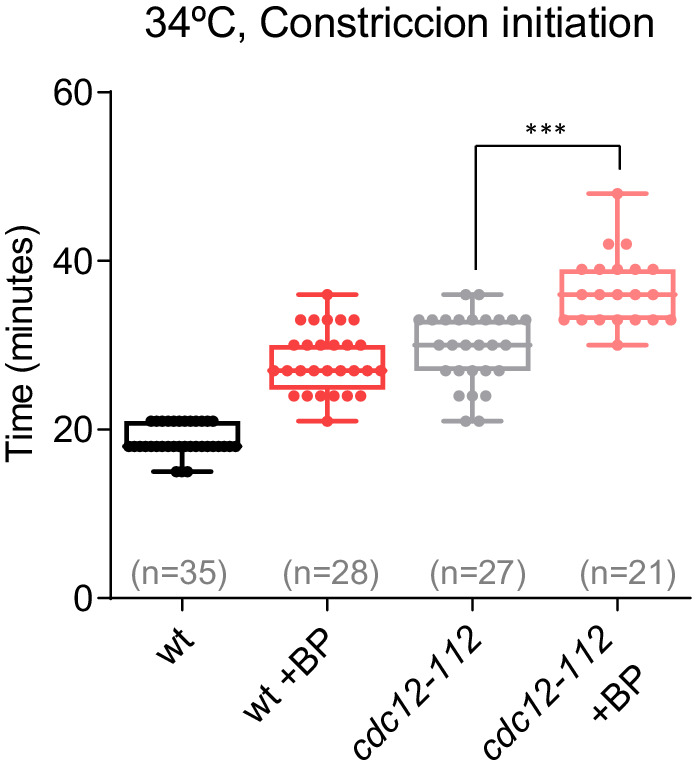 Figure 6—figure supplement 2.