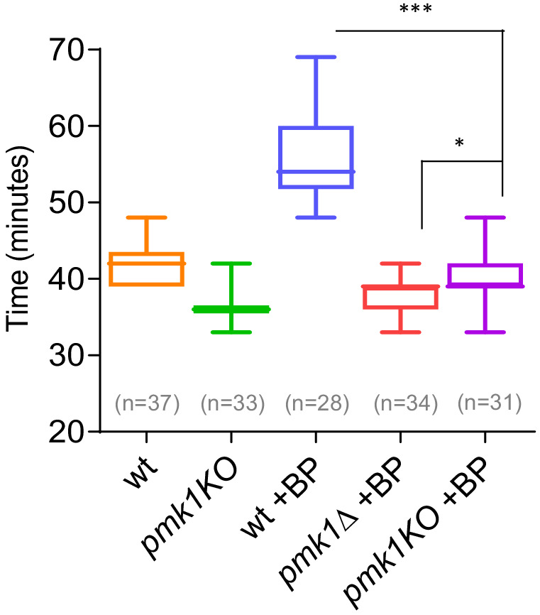 Figure 4—figure supplement 2.