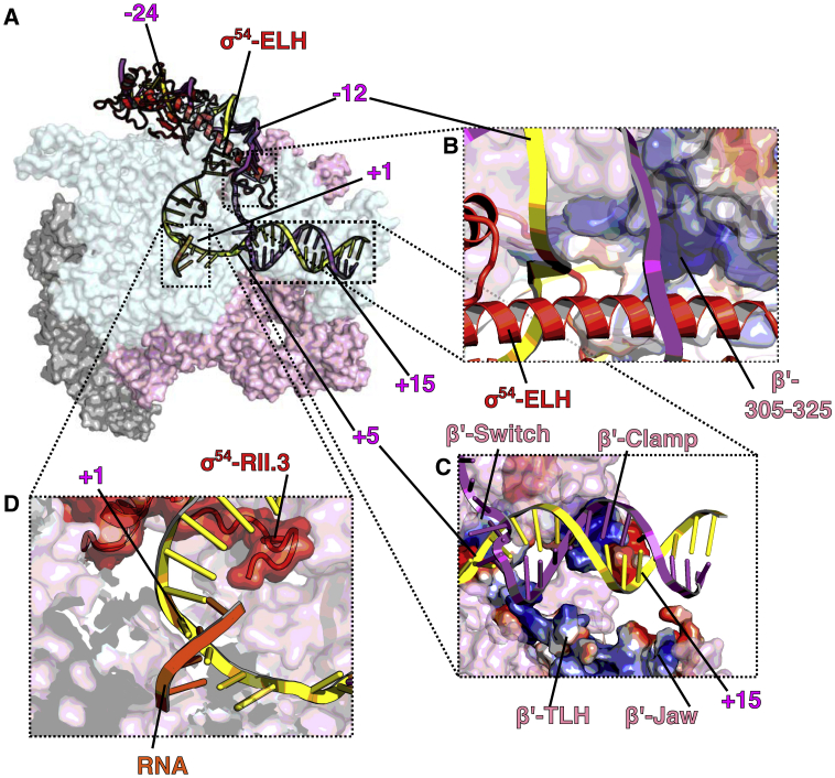 Figure 4