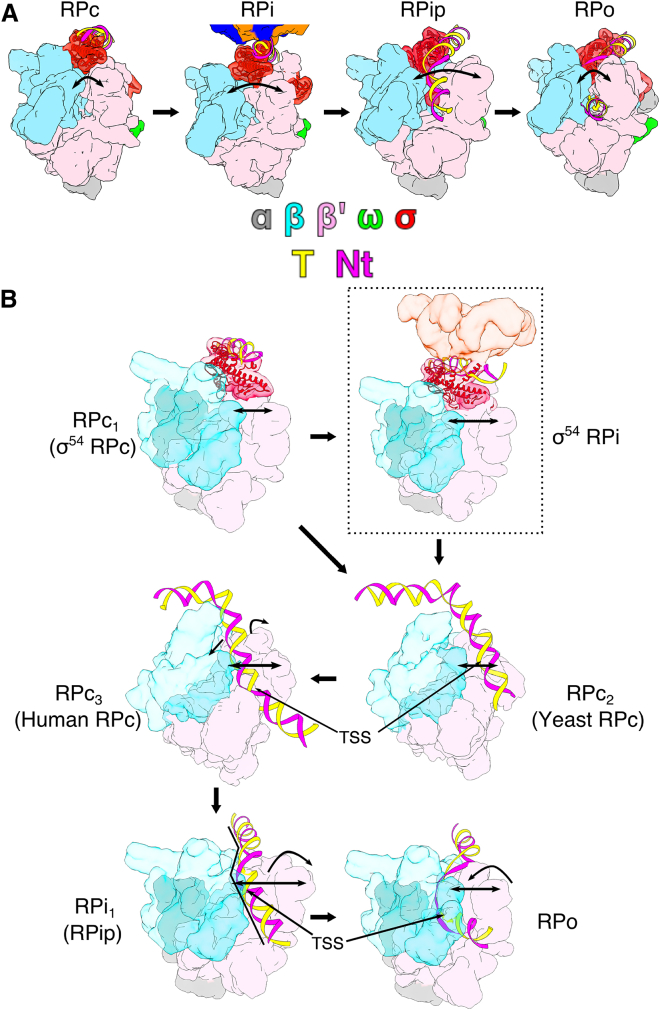 Figure 6