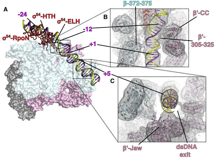 Figure 2