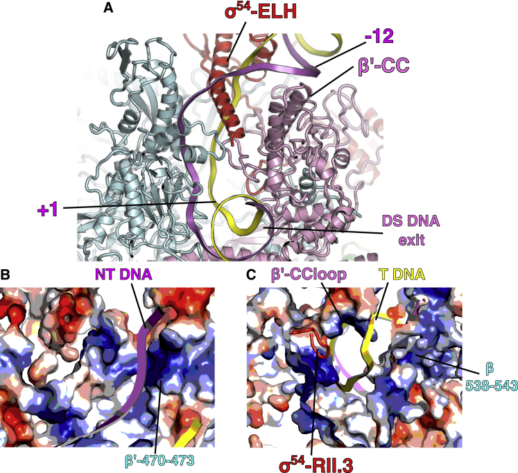 Figure 3