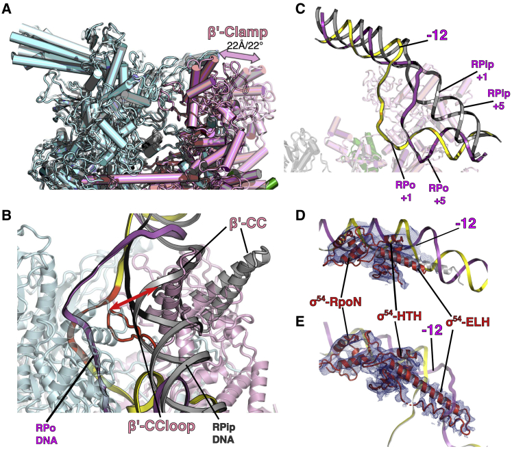 Figure 5