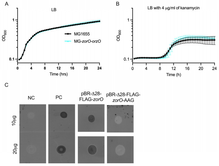 Figure 6