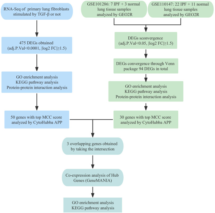 Figure 1