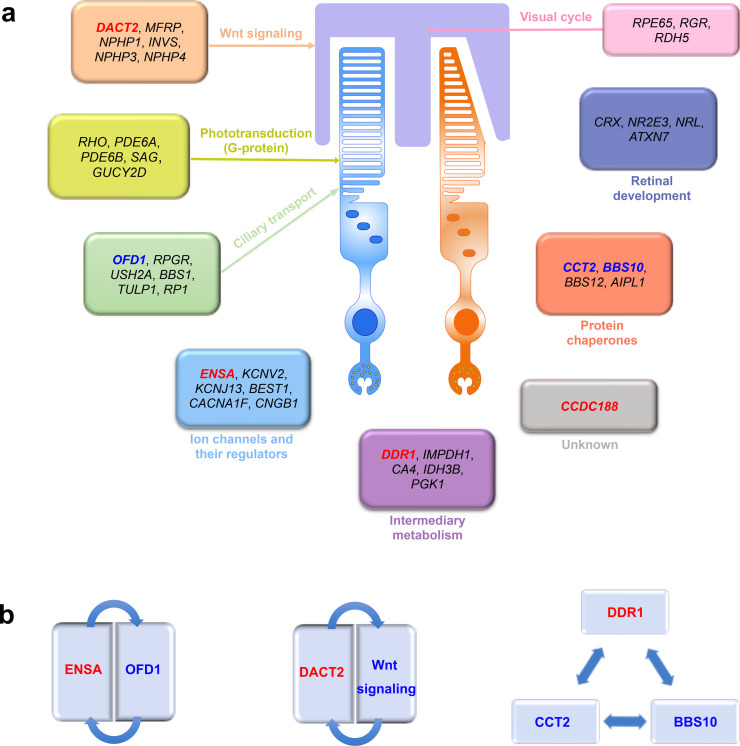 Fig 6