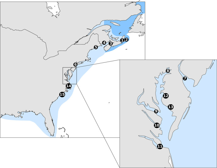 FIGURE 1