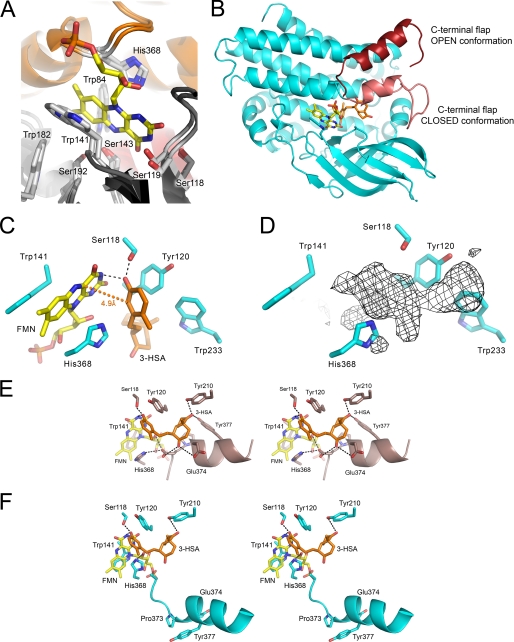 FIGURE 6.