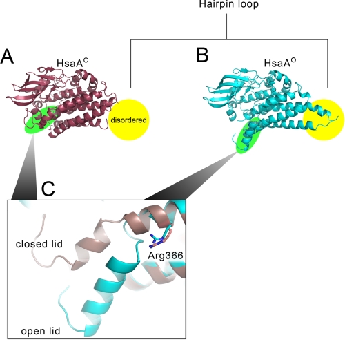 FIGURE 5.