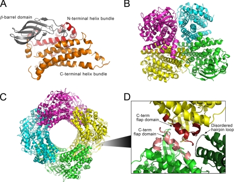 FIGURE 4.