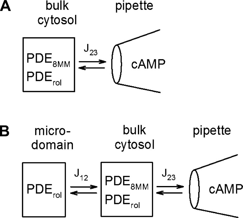 Fig. 8.