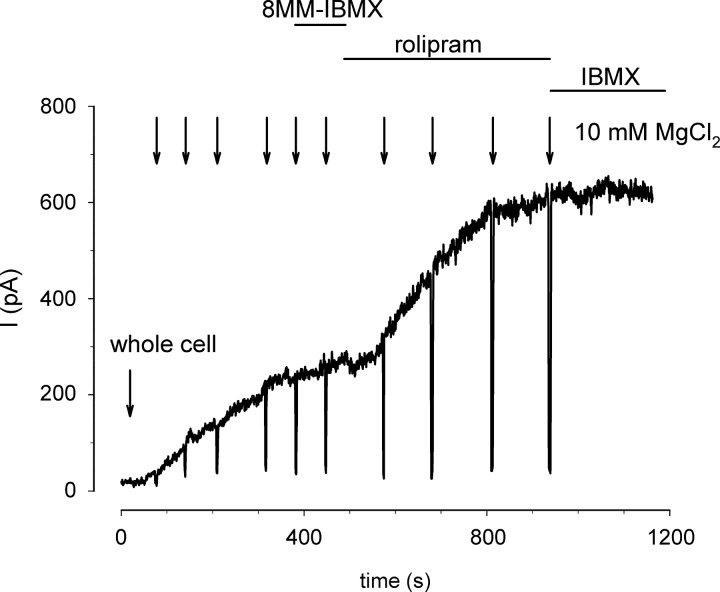 Fig. 6.