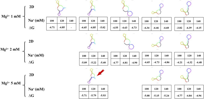 FIGURE 4