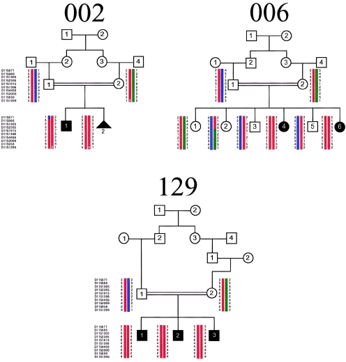 Figure  1