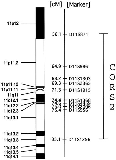 Figure  3