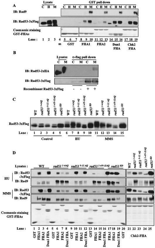 FIG.7.