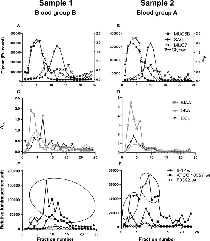 Figure 1