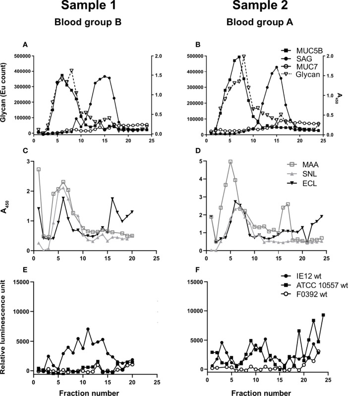 Figure 2