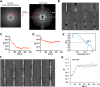 Figure 1—figure supplement 1.