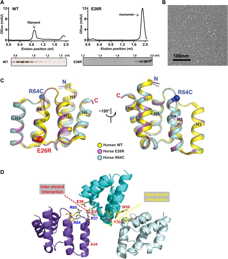 Figure 2—figure supplement 1.